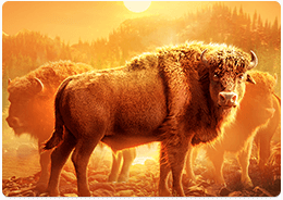 Illustration of Buffalo Win's Free Spins feature at SafeGameHub.