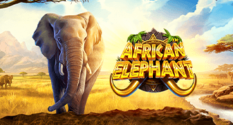Thrilling gameplay of African Elephant slot on SafeGameHub.