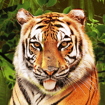 Graphics highlight from Big Cat Rescue Megaways at SafeGameHub.