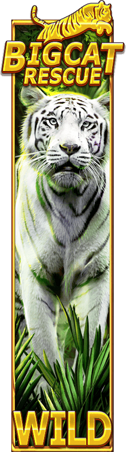 Dynamic action from the Big Cat Rescue Megaways game on SafeGameHub.