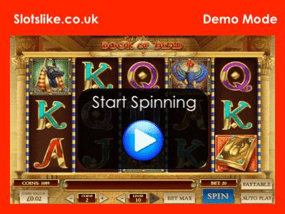 Book of Dead bonus feature screenshot shared on SafeGameHub.