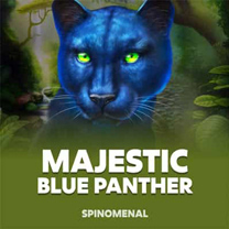 SP Majestic Blue Panther